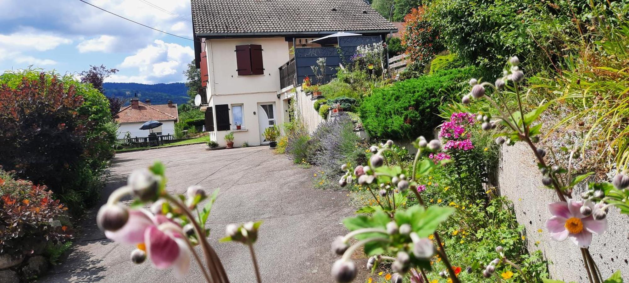 Plain-Pied Proche Base De Loisirs Et Voie Verte Saulxures-sur-Moselotte Eksteriør bilde