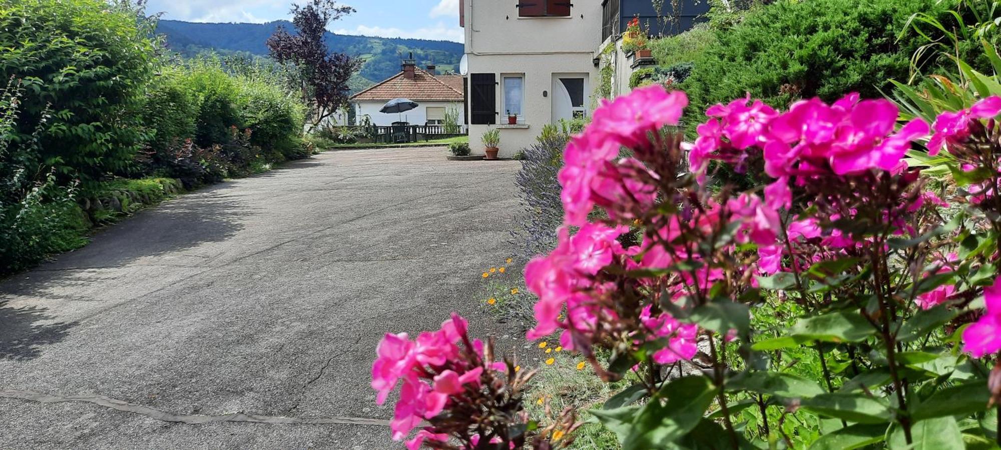 Plain-Pied Proche Base De Loisirs Et Voie Verte Saulxures-sur-Moselotte Eksteriør bilde